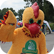 Food and Entertainment Festival in Rostov-on-Don