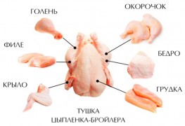 Какую часть курицы выбрать