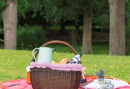 Пикник на природе! Что взять на пикник?!